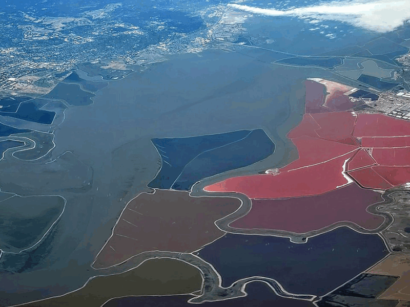 Echoes From the Past: How Land Reclamation Slowly Modifies Coastal Environments