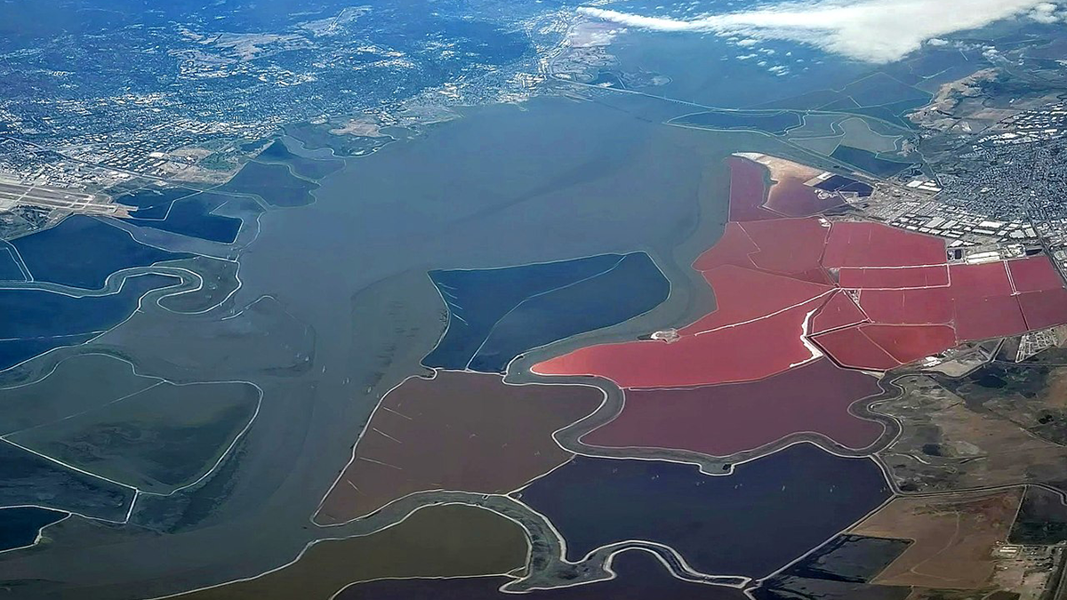 Aerial photo of San Francisco Bay.