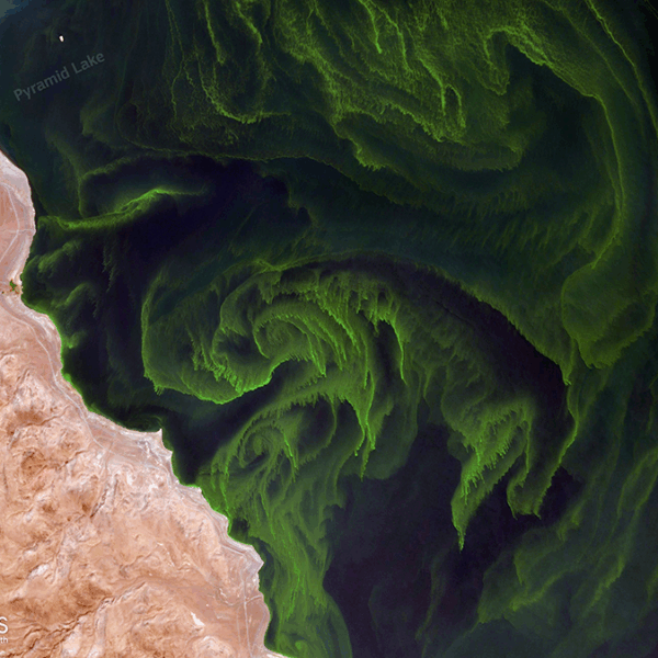 全球气候模型需要全面纳入氮循环