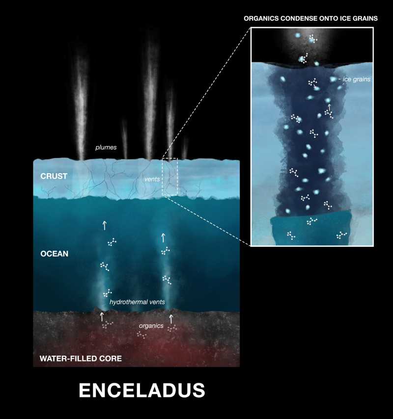A diagram illustrates the journey that organics take from Enceladus’s core, through hydrothermal vents, upward through the ocean, and then through vents in the icy surface. An inset diagram shows how organics travel through the ice and condense into grains before being emitted in plumes of material.