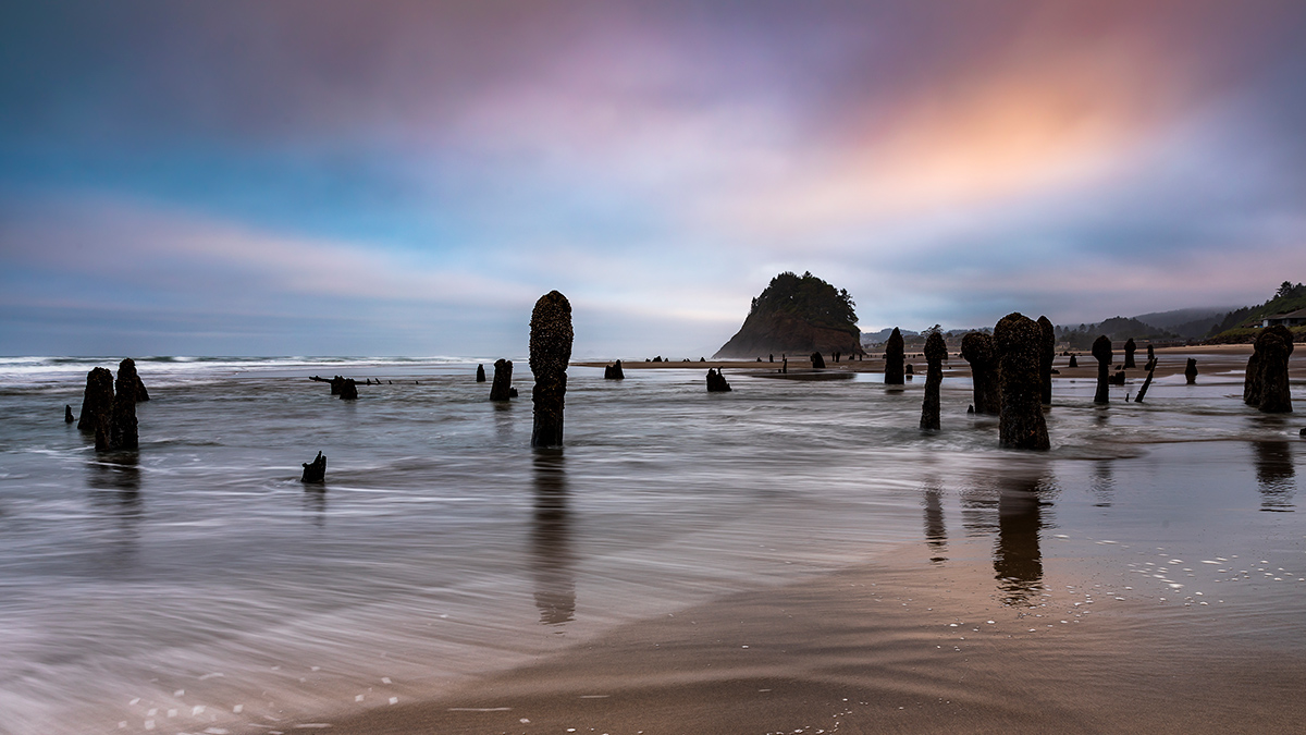Dark-colored broken tree stumps rise out of the water on a beach with a large tree-covered rock in the background.