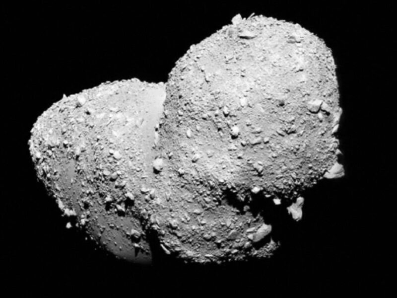 What Tumbling Asteroids Tell Us About Their Innards
