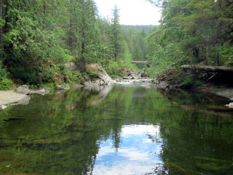 Watershed Sustainability Project Centers Place-Based Research