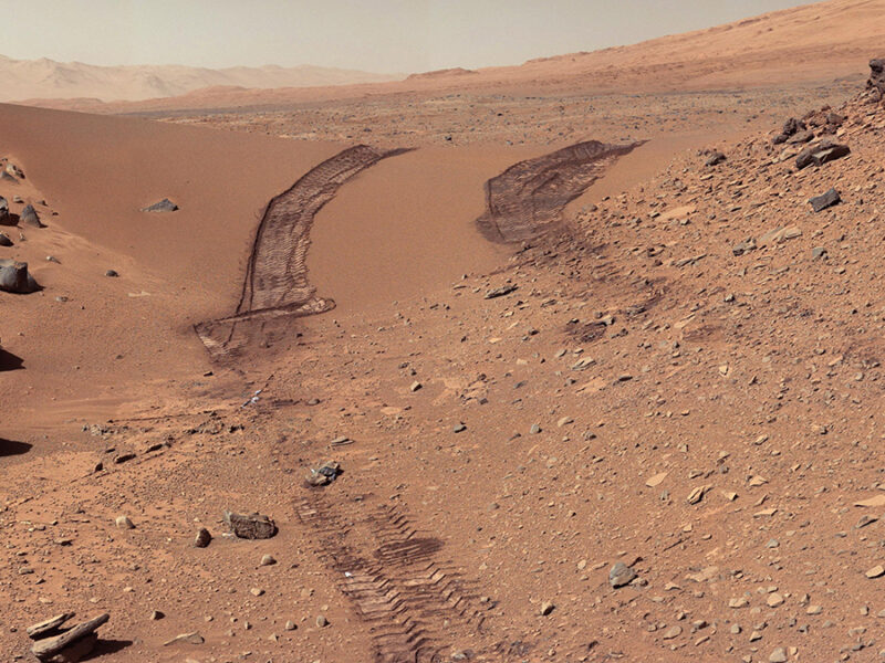 Fungi, Fertilizer, and Feces Could Help Astronauts Grow Plants on the Moon