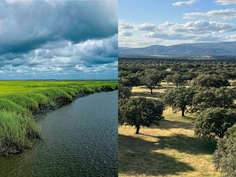 Understanding Flux, from the Wettest Ecosystems to the Driest