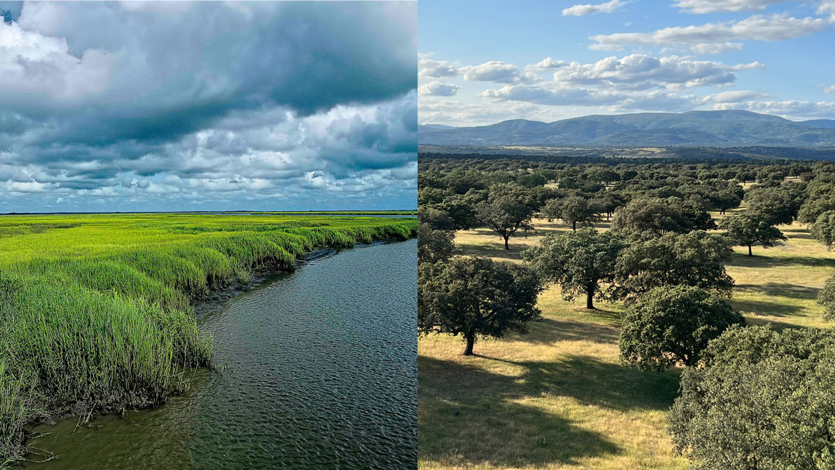 A photo on the left shows a salt marsh with high grasses beneath gray clouds. On the right is an area with dry grass and clusters of trees, with mountains and puffy white clouds in the distance.