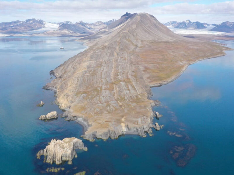 How Algae Helped Some Life Outlast Extinction