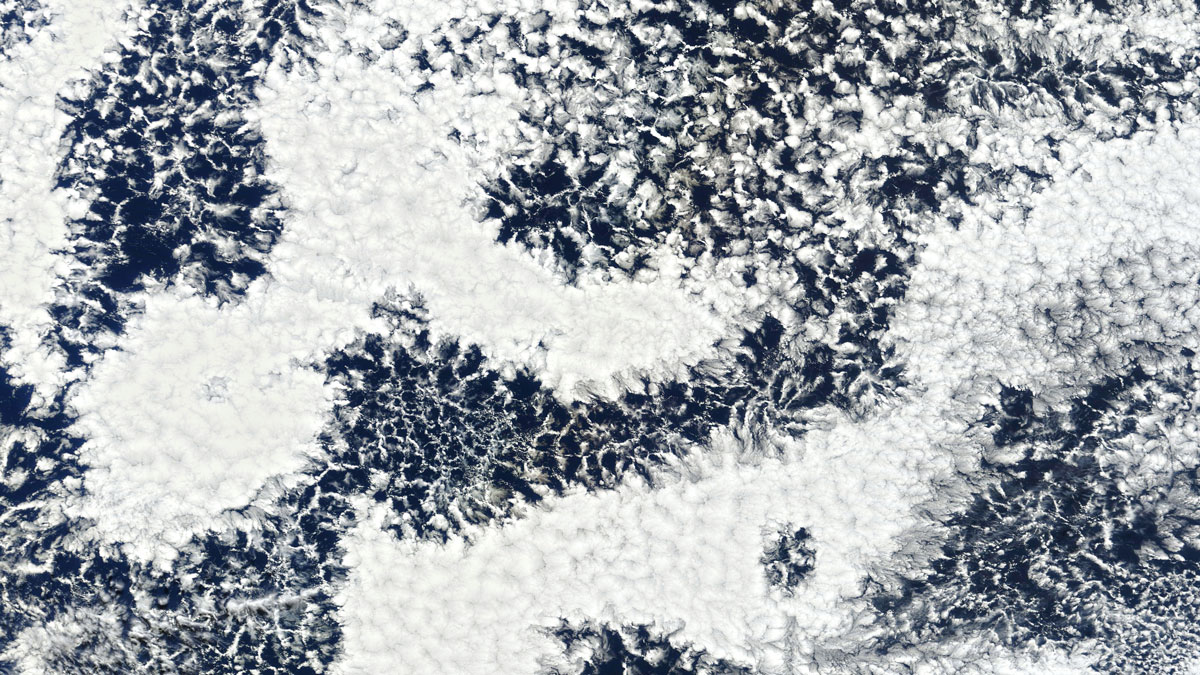 Stratocumulus clouds seen from above. They are arranged into clusters of white connected by wispy grids over a dark blue background.