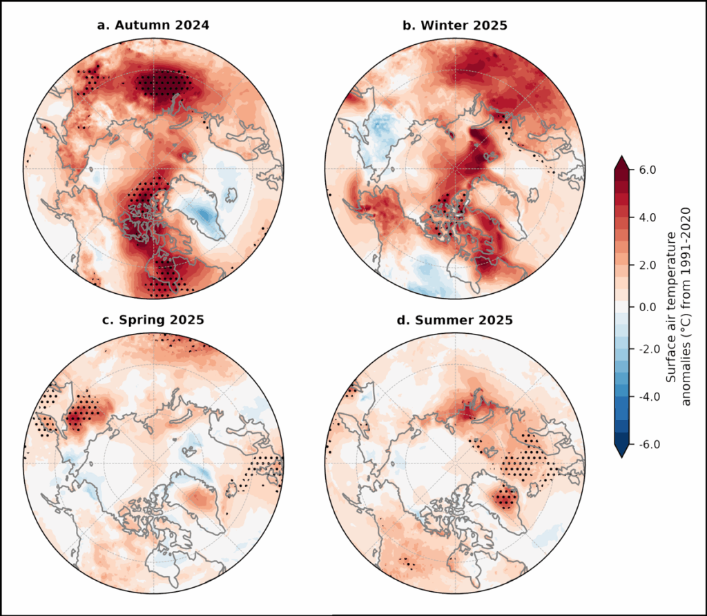 Four maps of the Arctic show surface air temperature anomalies (in °C) relative to the 1991–2020 averages for autumn 2024, winter 2025, spring 2025, and summer 2025.