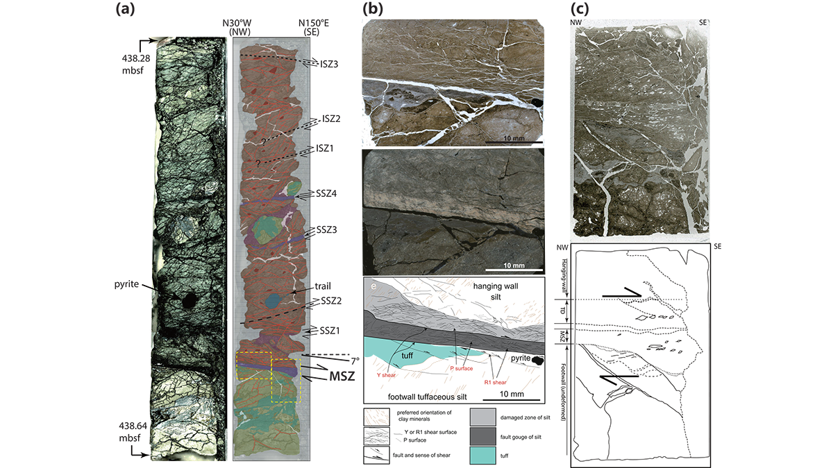 Photos and sketches of samples from the study.