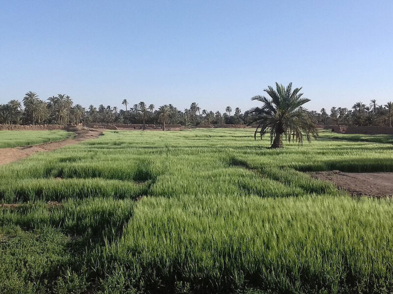 When a Prayer Is Also a Climate Signal