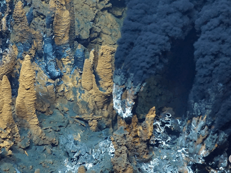 Hydrothermal Circulation and Its Impact on the Earth System