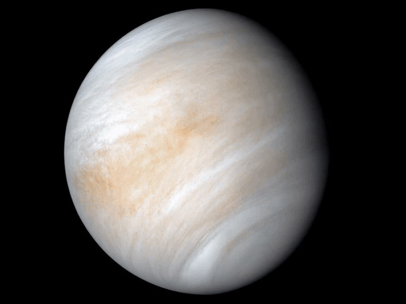 Is Convection Wobbling Venus?