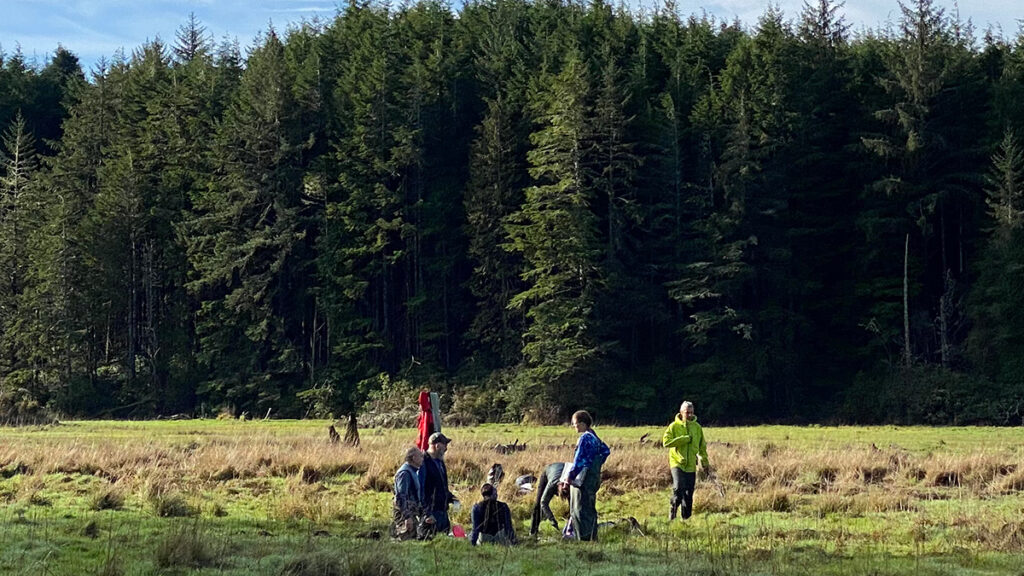 A handful of people standing in a broad grassy area use a tall tool to collect a soil core. Behind them is a row of evergreen trees and a blue sky.