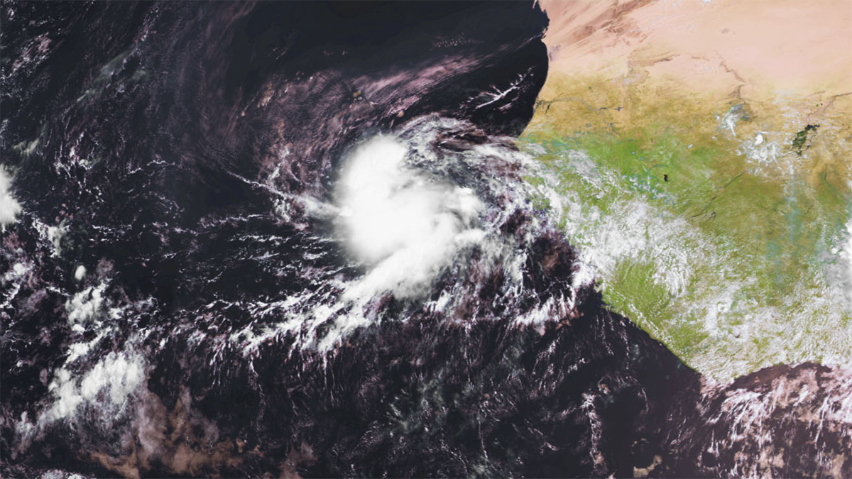 A satellite image of the west coast of Africa shows a white swirl of clouds beginning to form.