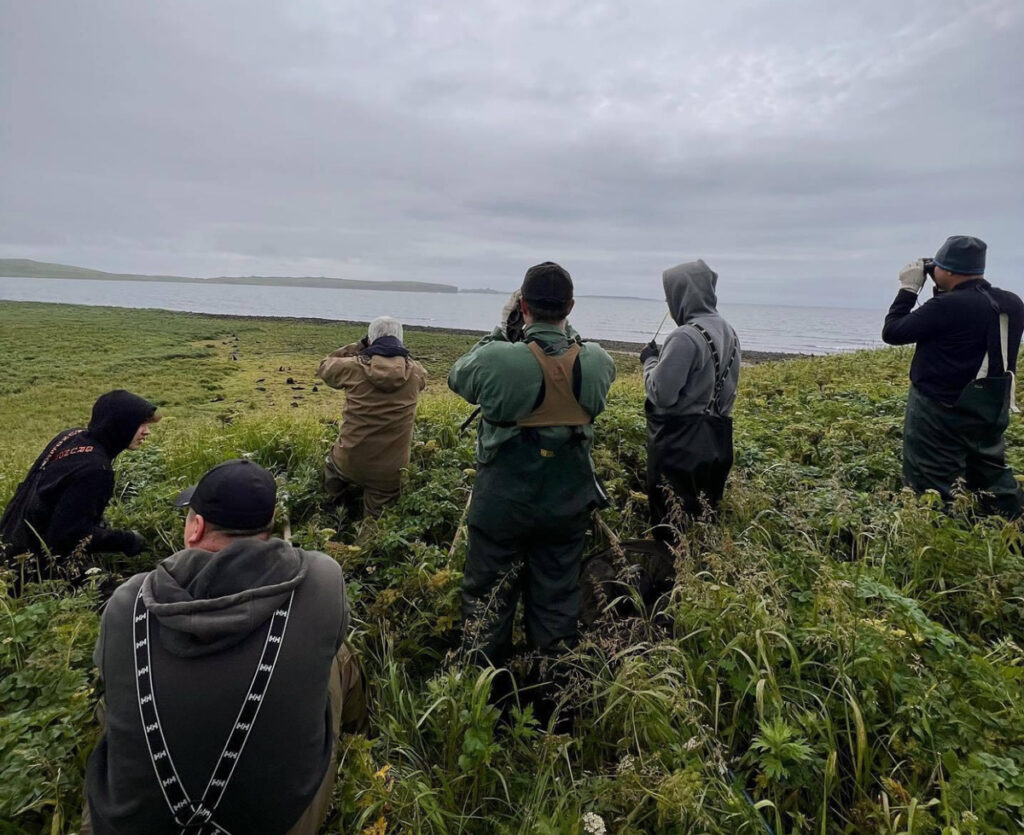 Six people stand on a hill, looking toward the ocean.