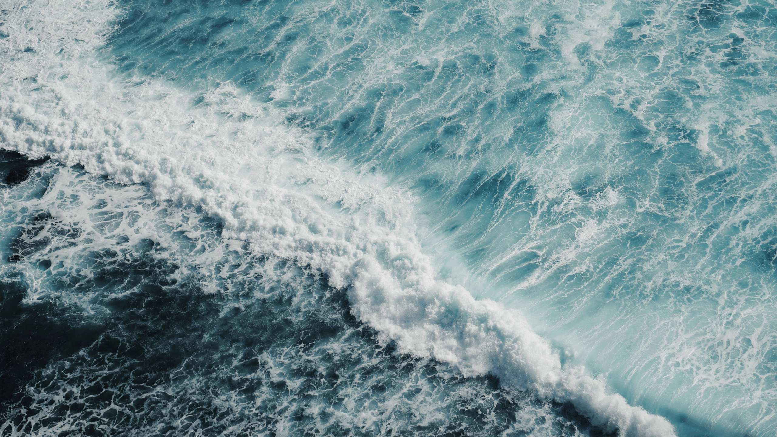 A crashing ocean wave is photographed from above.