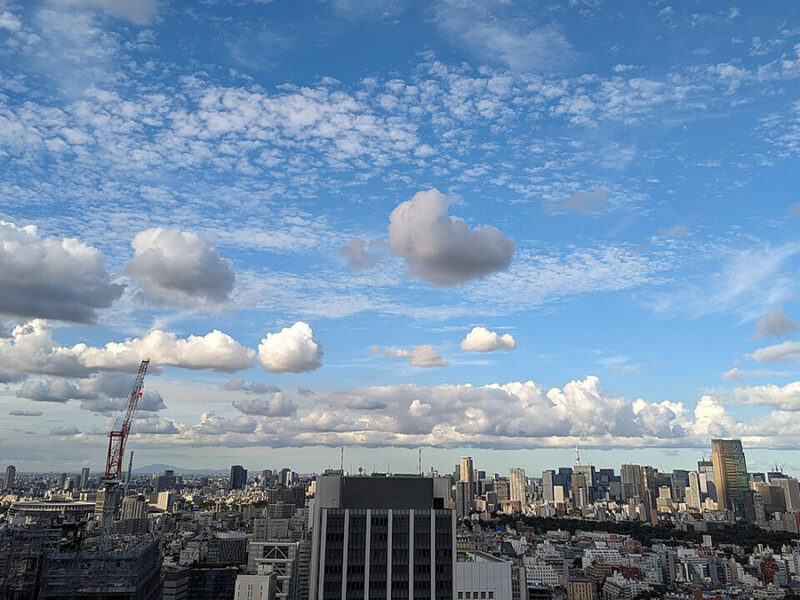 Marine Heat Waves Can Exacerbate Heat and Humidity over Land