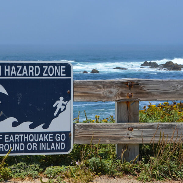 When Should a Tsunami Not Be Called a Tsunami?