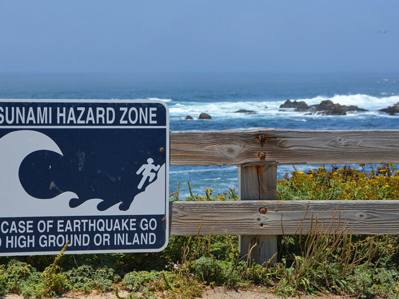 When Should a Tsunami Not Be Called a Tsunami?