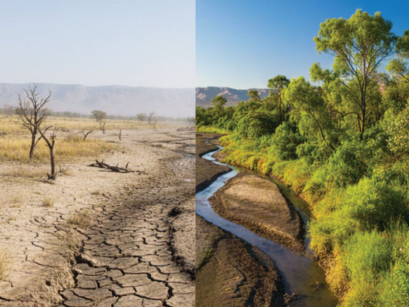 An Ecosystem Never Forgets