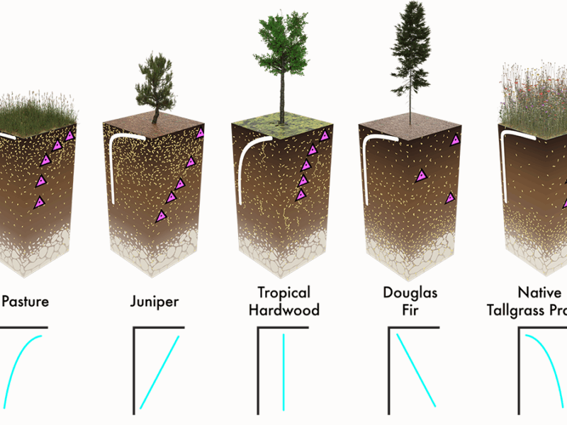 Rethinking How to Measure Roots