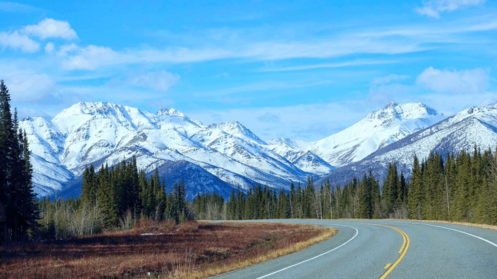 A highway lined by tall green pine trees curves off to the left. Snowy mountains tower in the distance beneath a blue sky.