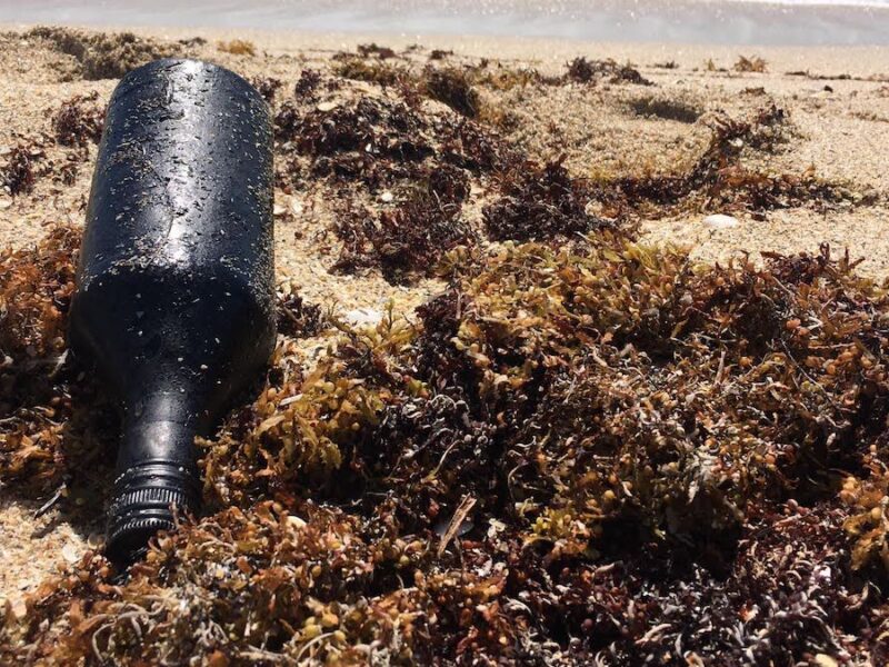 Plastic Debris Helps Oil Residues Reach Farther Across the Ocean