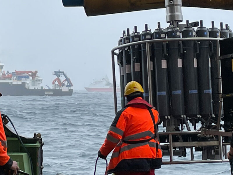 Marine Snow Grows Faster and Fluffier as It Sinks