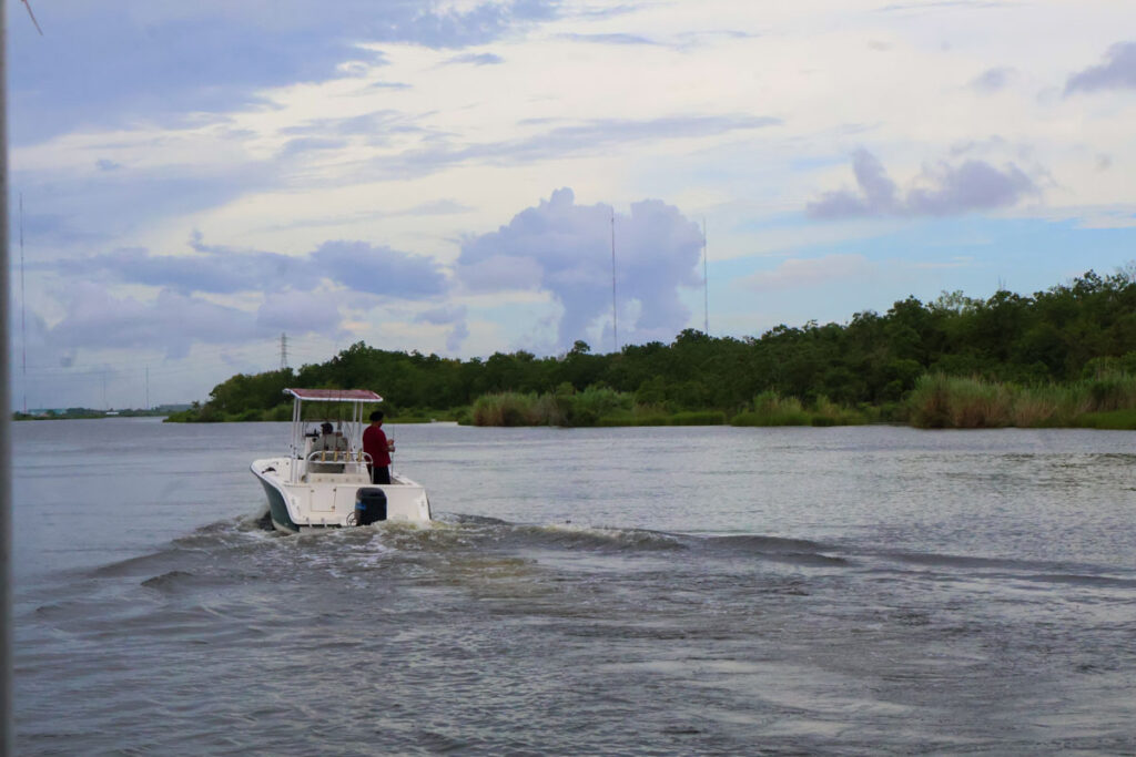 Two men on a small boat are moving away from the camera on the water. A stretch of coastal trees and some power lines lie in the middle distance.