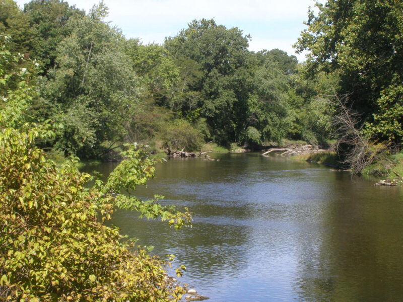 Denitrification Looks Different in Rivers Versus Streams