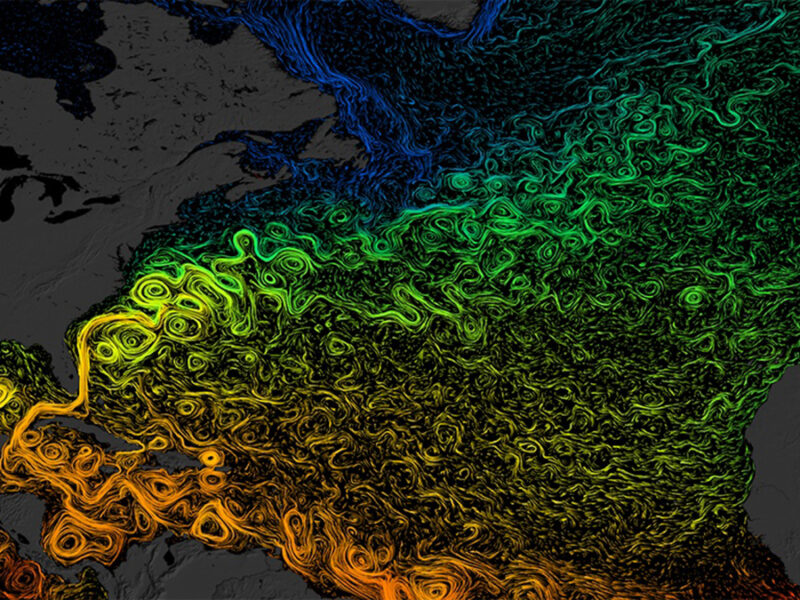 What Could Happen to the Ocean’s Carbon If AMOC Collapses