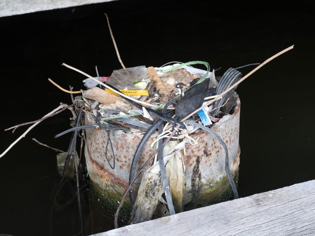 A bird’s nest has obvious bits of trash sticking out of it.