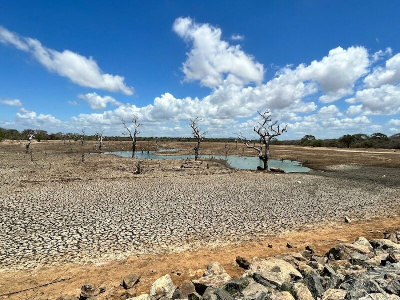 We Are “Living Beyond Our Hydrological Means,” UN Report Warns