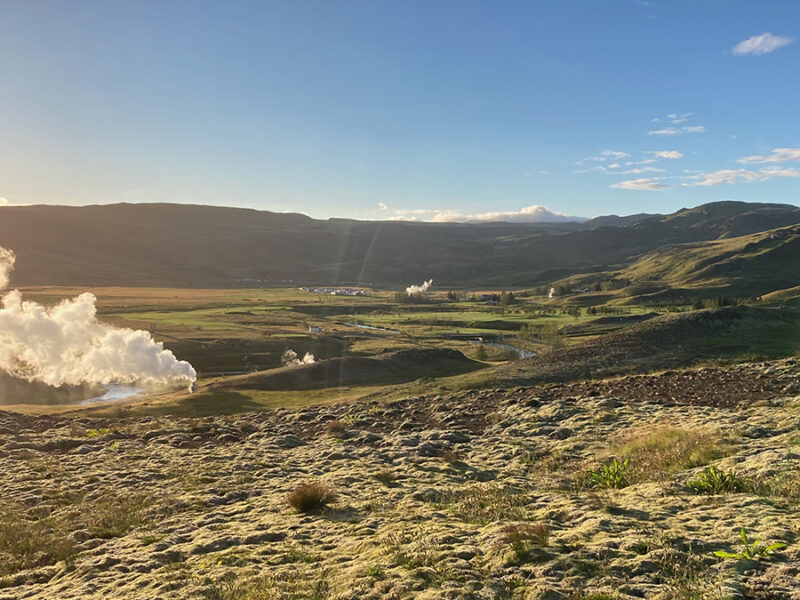 As Some Soils Warm, Microbes Stockpile Essential Nutrients