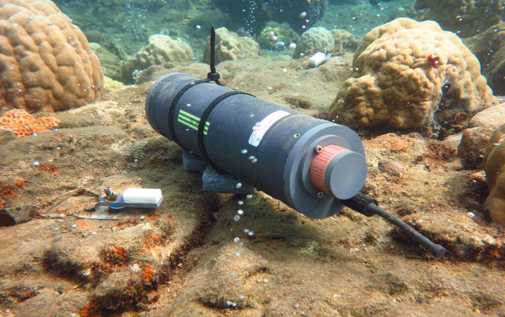 A black cylindrical instrument sits on the seafloor in a reef.