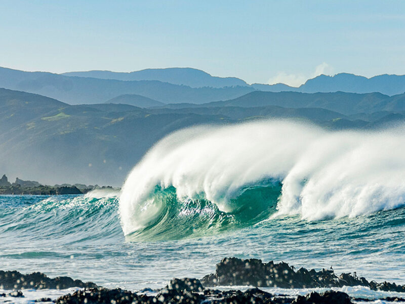 Our Ocean’s “Natural Antacids” Act Faster Than We Thought