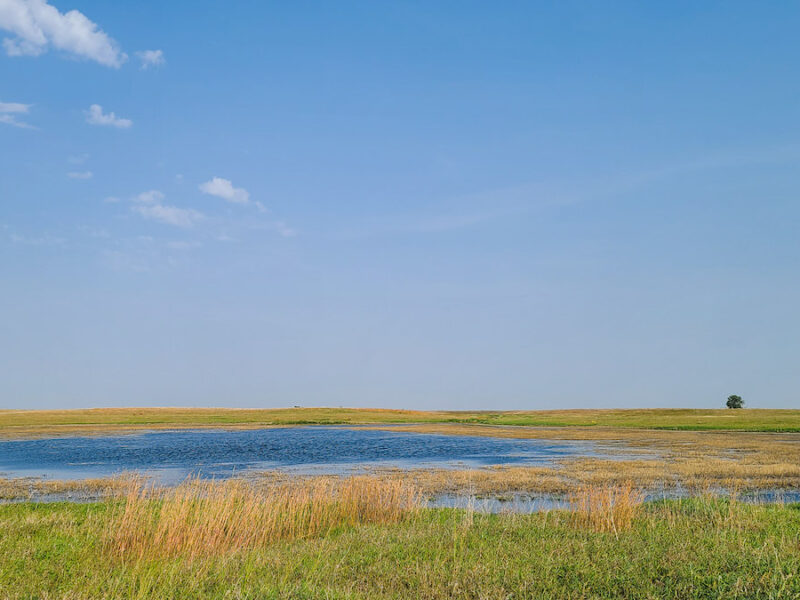 After Sackett, a Wisconsin-Sized Wetland Area Is Vulnerable 