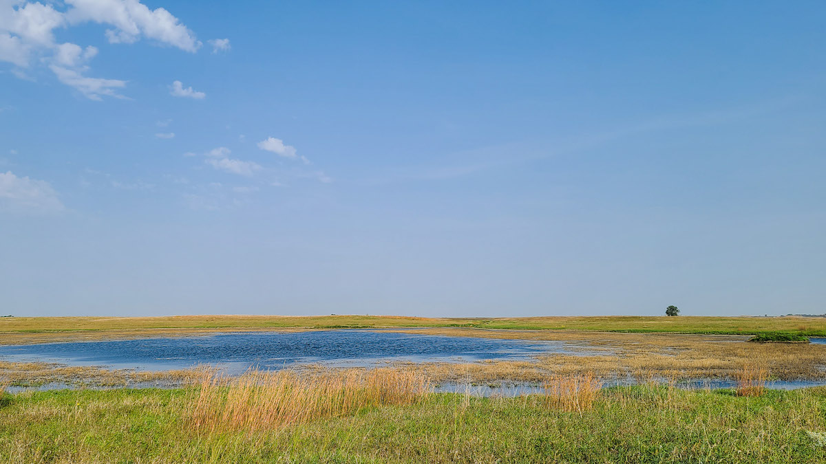 A wetland in a green field under a blue sky.