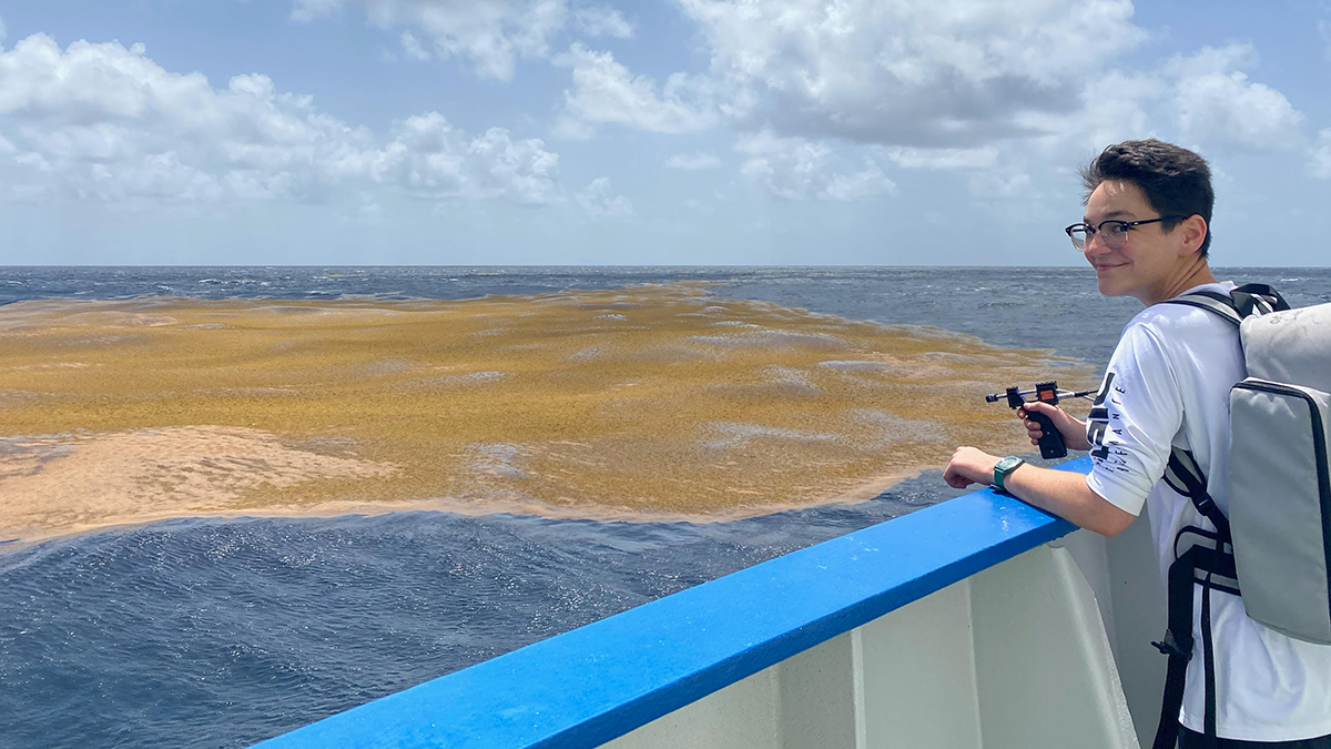 The Northern Sargasso Sea Has Lost Much of Its Namesake Algae