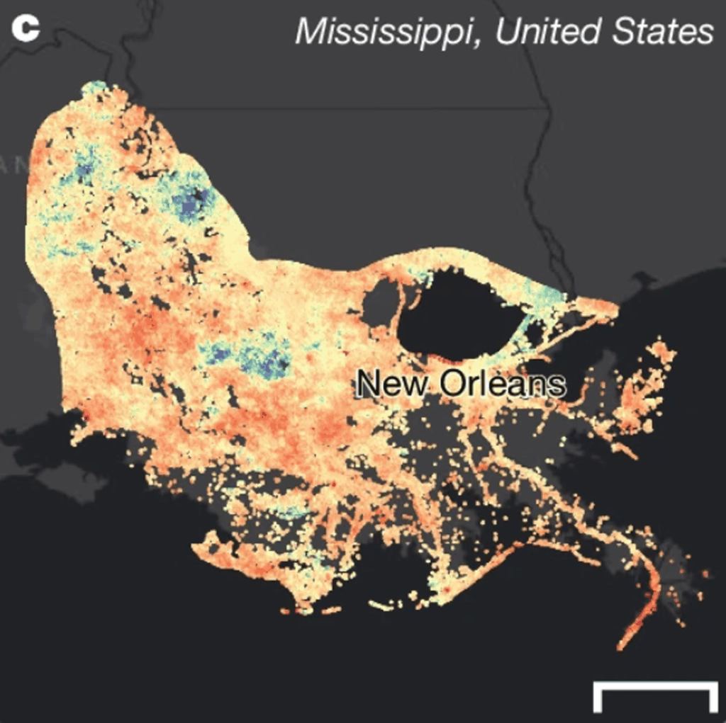 A map of the Mississippi River Delta shows red and yellow areas of land that are sinking more rapidly and blue and purple areas that are building land upwards. The map is primarily yellow and orange.