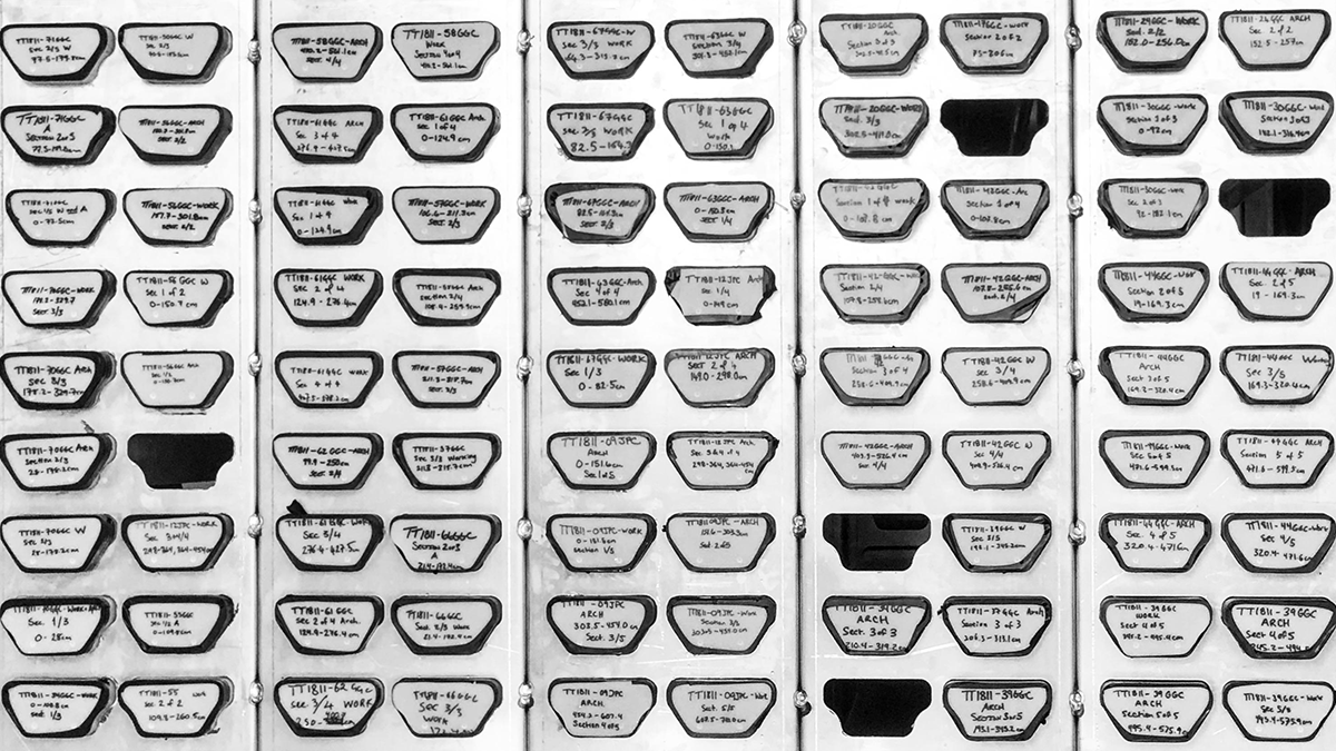 A black-and-white image shows the ends of dozens of soil cores, stored in a wall. A few of the slots are empty.