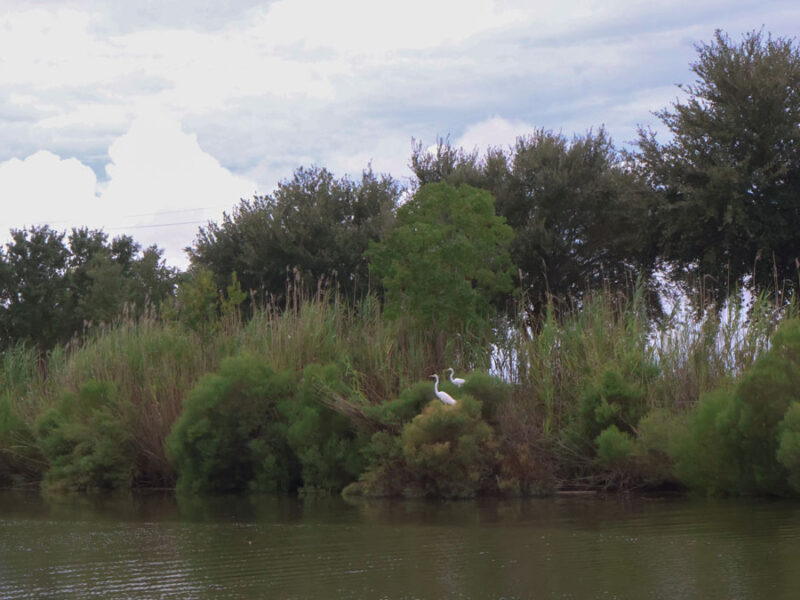 Why Are River Deltas Disappearing? They’re Sinking Faster Than Many People Realize