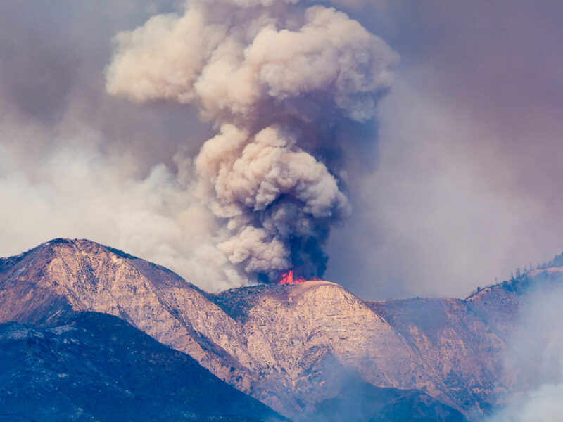 Wildfire Smoke Linked to 17,000 Strokes Annually in the United States
