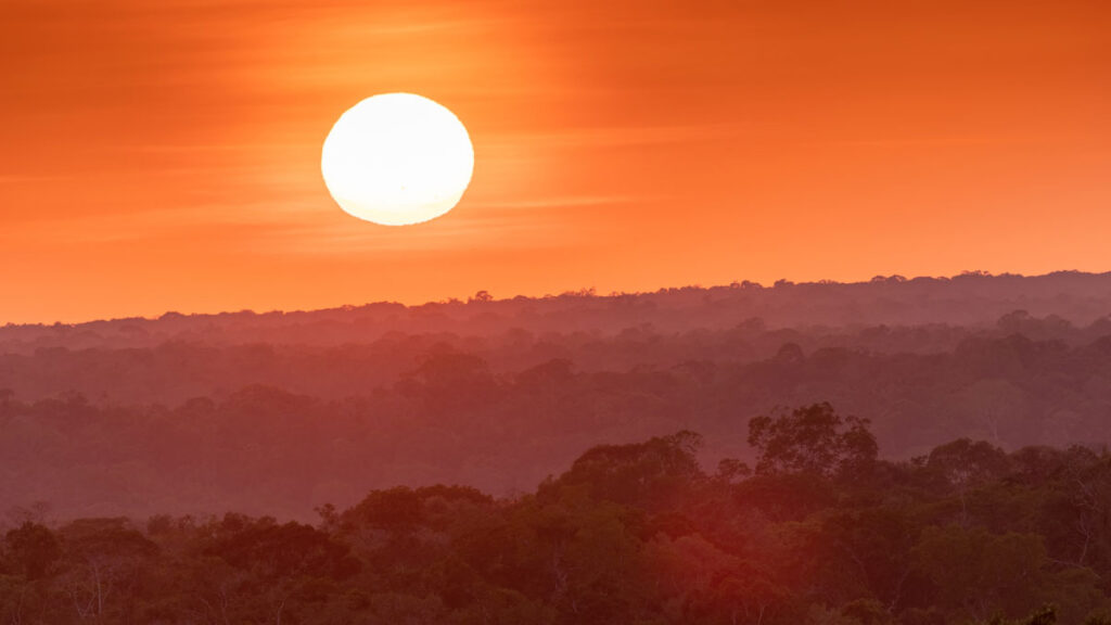 The Sun looms large in a red sky over the trees of the Amazon rainforest.