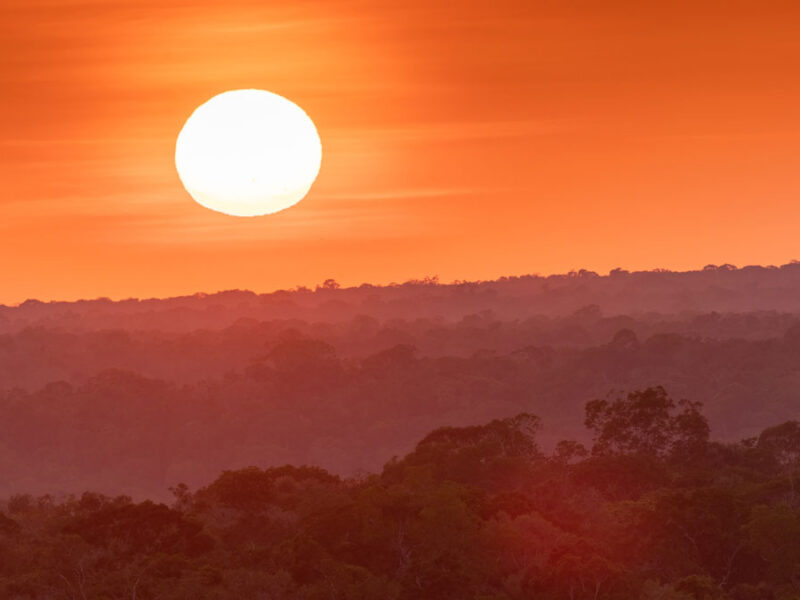 Drought Drove the Amazon’s 2023 Switch to a Carbon Source
