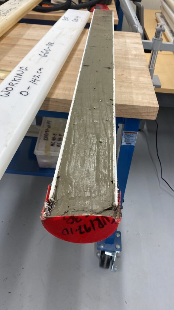 A tube of sediment about a yard long, sliced in half lengthwise so the muddy sediment is visible.