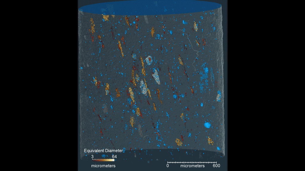 A spinning 3D X-ray tomographic image.