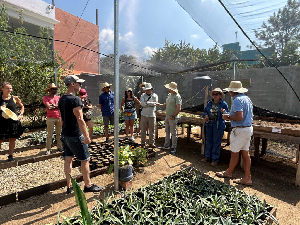 Eleven people stand and talk amid low outdoor garden beds covered by mesh screening held up by tall poles.