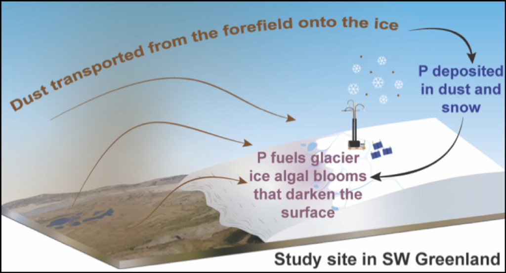 An illustration shows how dust is transported to the Greenland Ice Sheet.